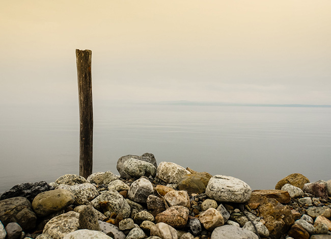 云呼死你轰炸免费网页平台