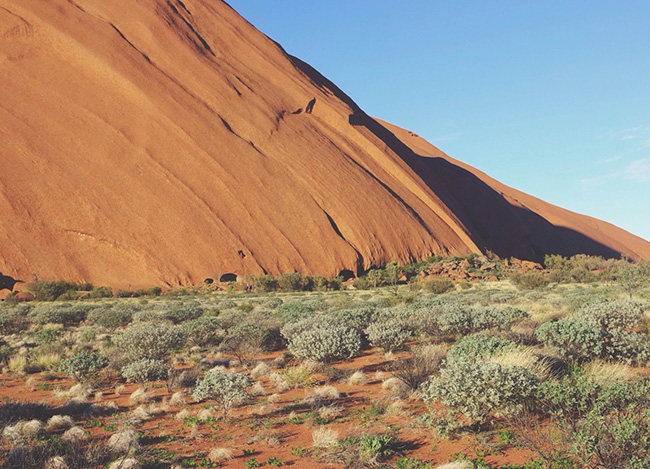 接码短信社区平台